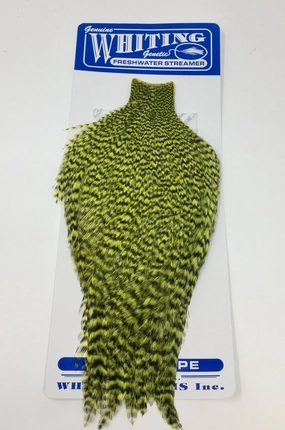Whiting American Freshwater Streamer Cape