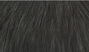 Whiting Bird Fur