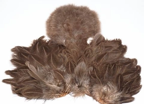 Whiting Brahma Soft Hackle with Chickabou