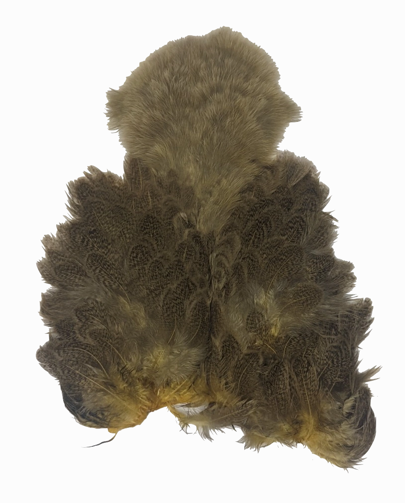 Whiting Brahma Soft Hackle with Chickabou