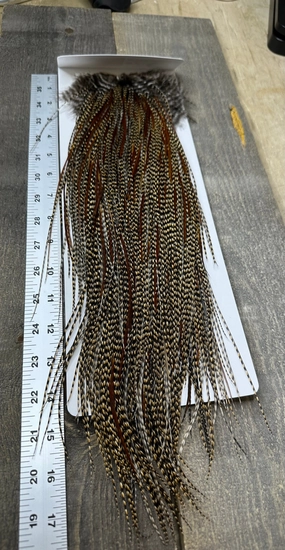 Whiting Bronze Grade Saddle Cree #8