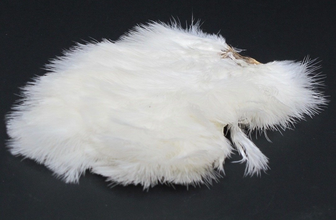 Whiting Chickabou Patch