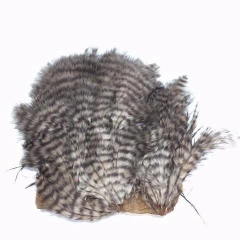 Whiting Chickabou Patch