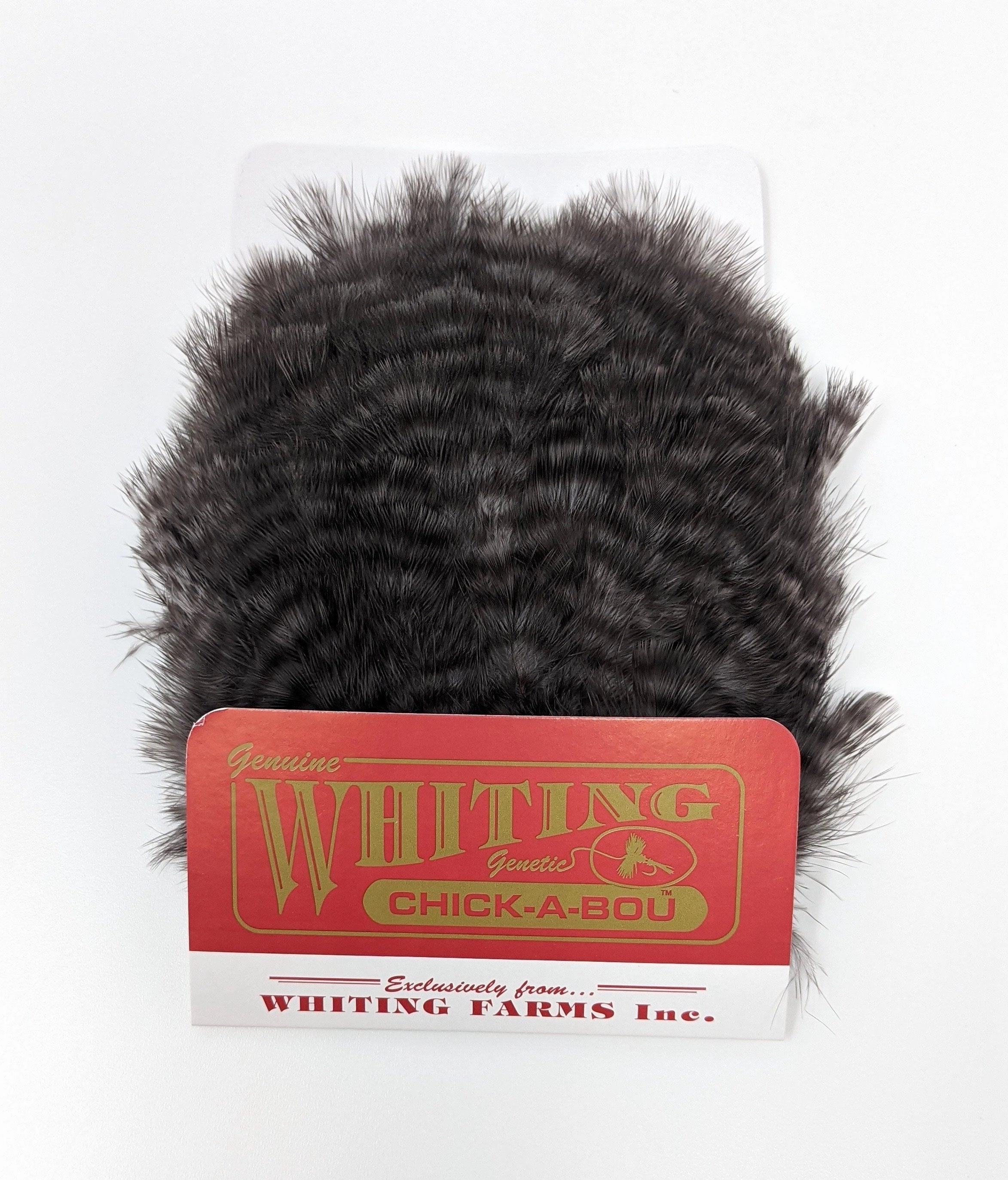 Whiting Chickabou Patch