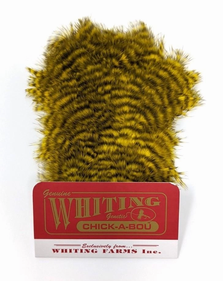 Whiting Chickabou Patch