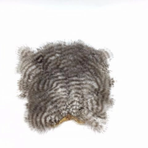 Whiting Chickabou Patch