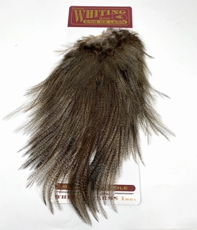 Whiting Coq de Leon Bronze Saddle