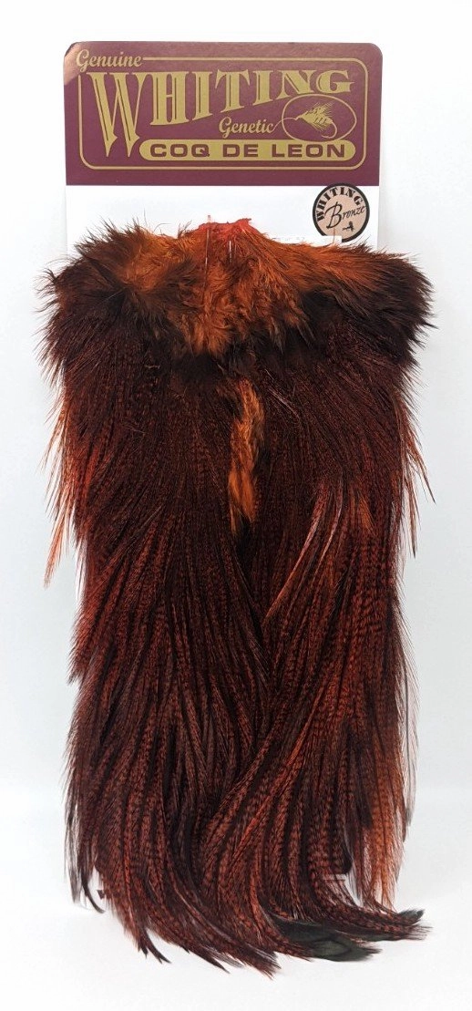 Whiting Coq de Leon Bronze Saddle