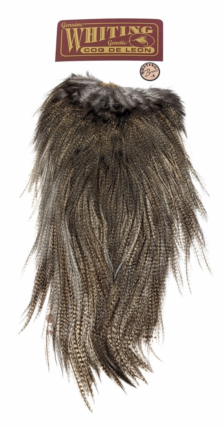 Whiting Coq de Leon Bronze Saddle