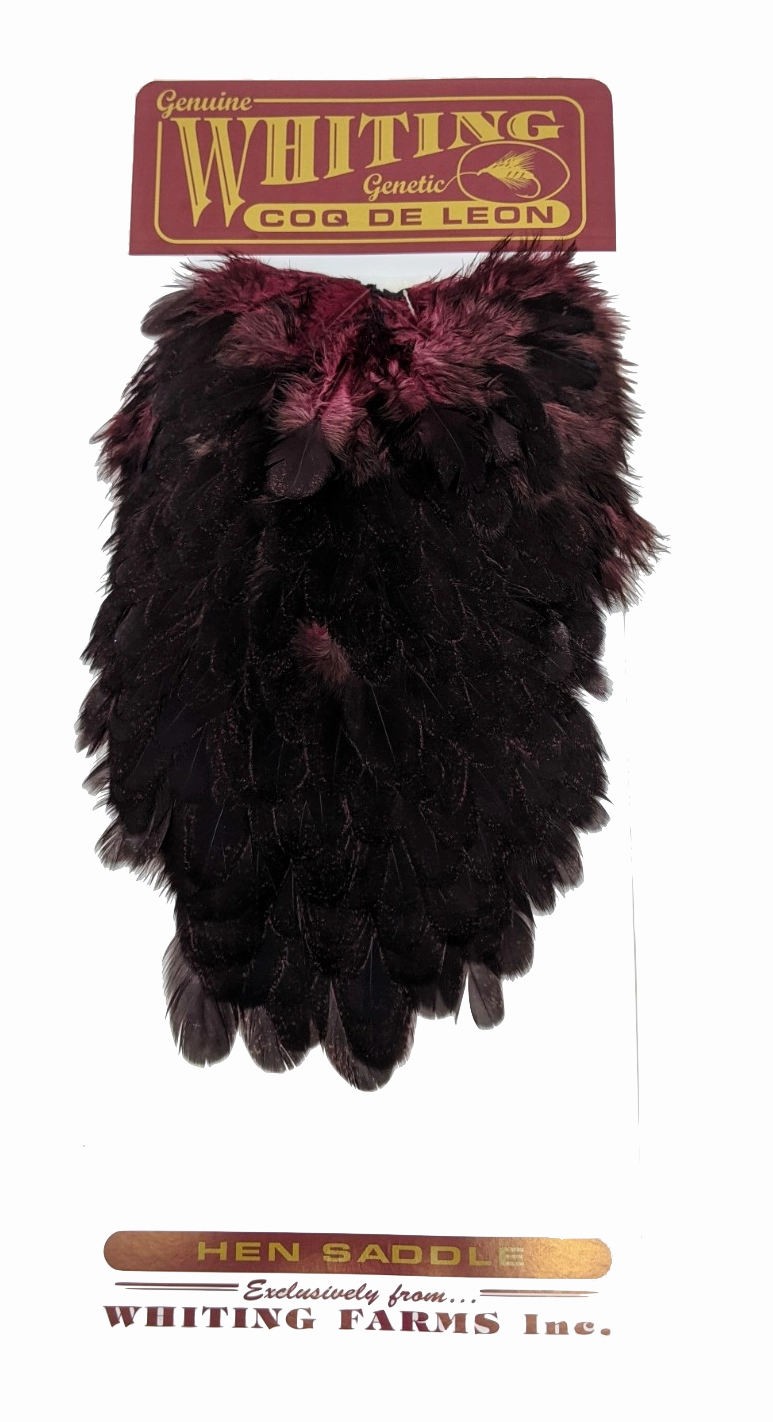 Whiting Coq de Leon Hen Saddle