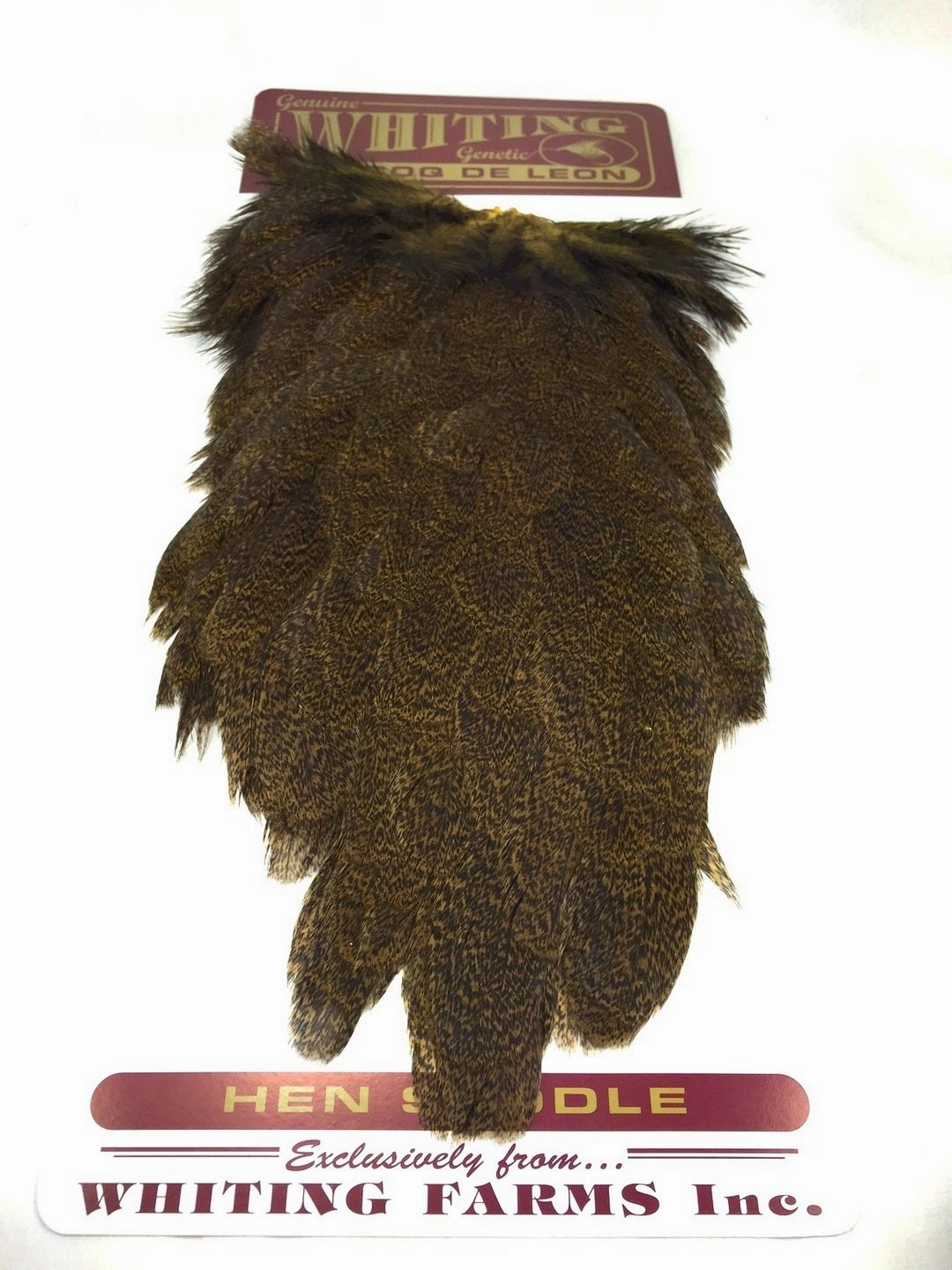Whiting Coq de Leon Hen Saddle