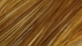 Whiting Dry Fly Hackle Rooster 1/2 Cape - Bronze Grade