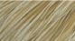 Whiting Dry Fly Hackle Rooster 1/2 Cape - Bronze Grade