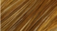 Whiting Hebert Miner Saddle Hackle Bronze Grade