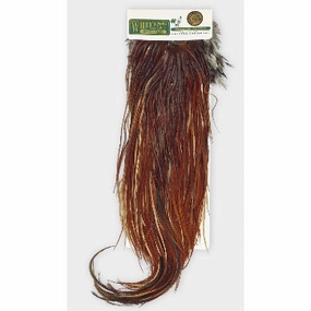 Whiting Hebert Miner Saddle Hackle Bronze Grade