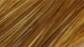 Whiting High & Dry Hackle Saddle