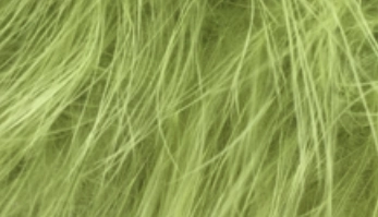 Whiting Mini Bird Fur
