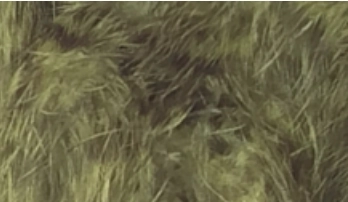 Whiting Mini Bird Fur