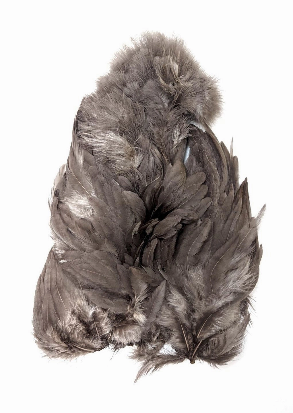 Whiting Rooster Soft Hackle with Chickabou