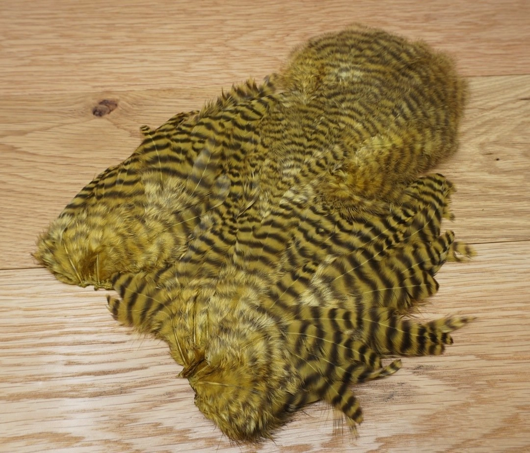 Whiting Rooster Soft Hackle with Chickabou