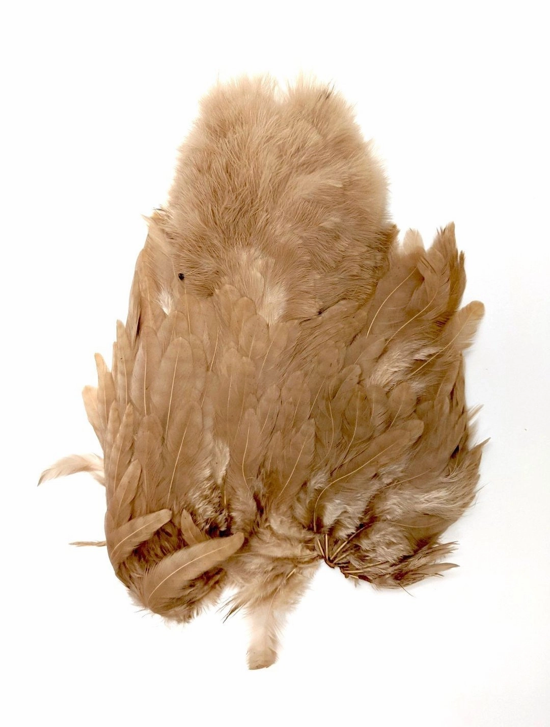 Whiting Rooster Soft Hackle with Chickabou