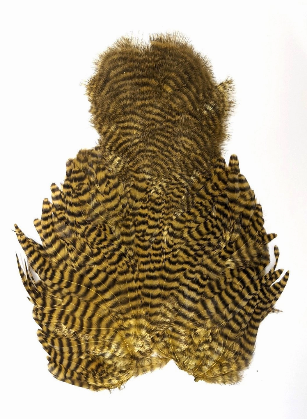 Whiting Rooster Soft Hackle with Chickabou