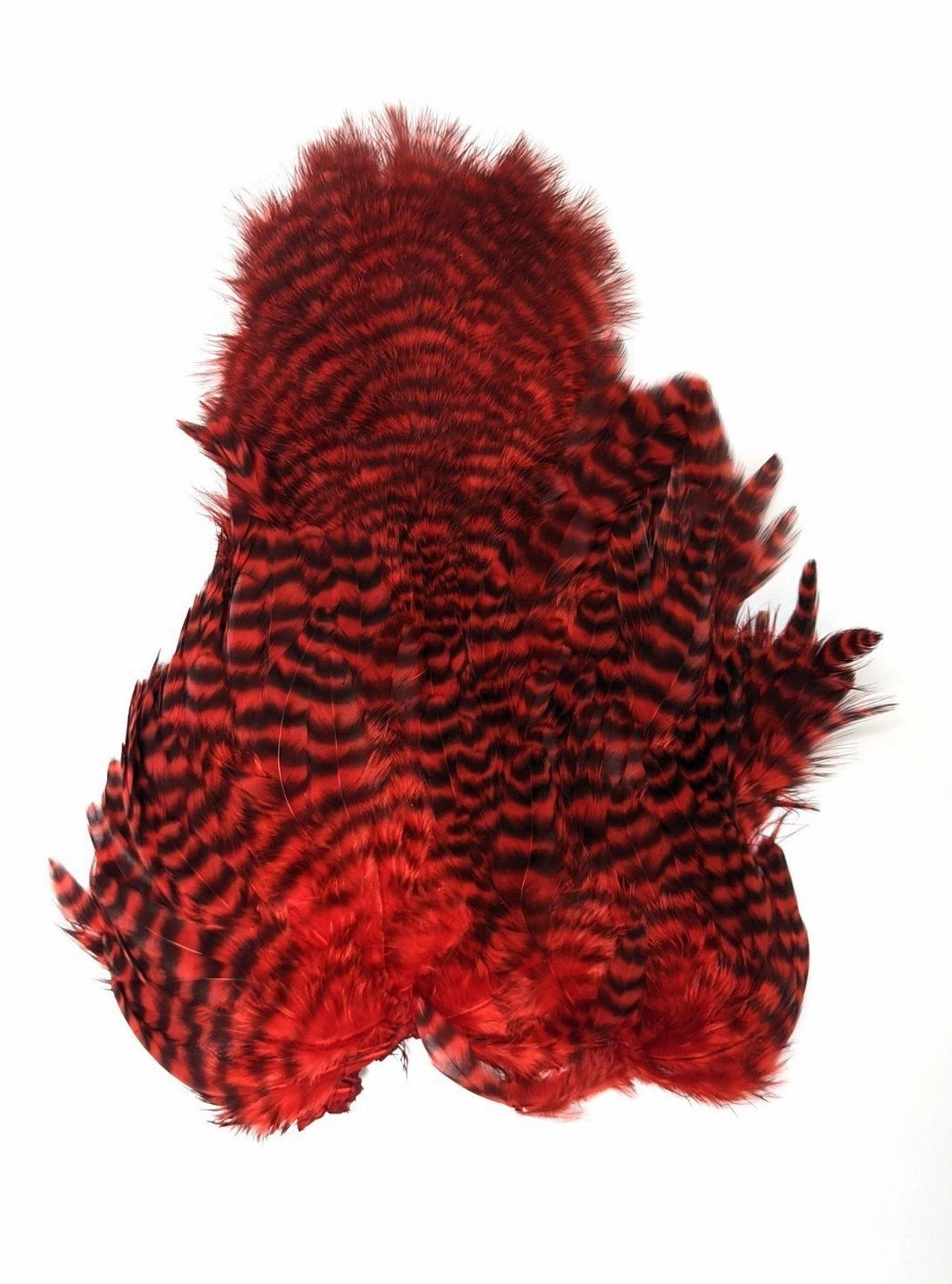 Whiting Rooster Soft Hackle with Chickabou