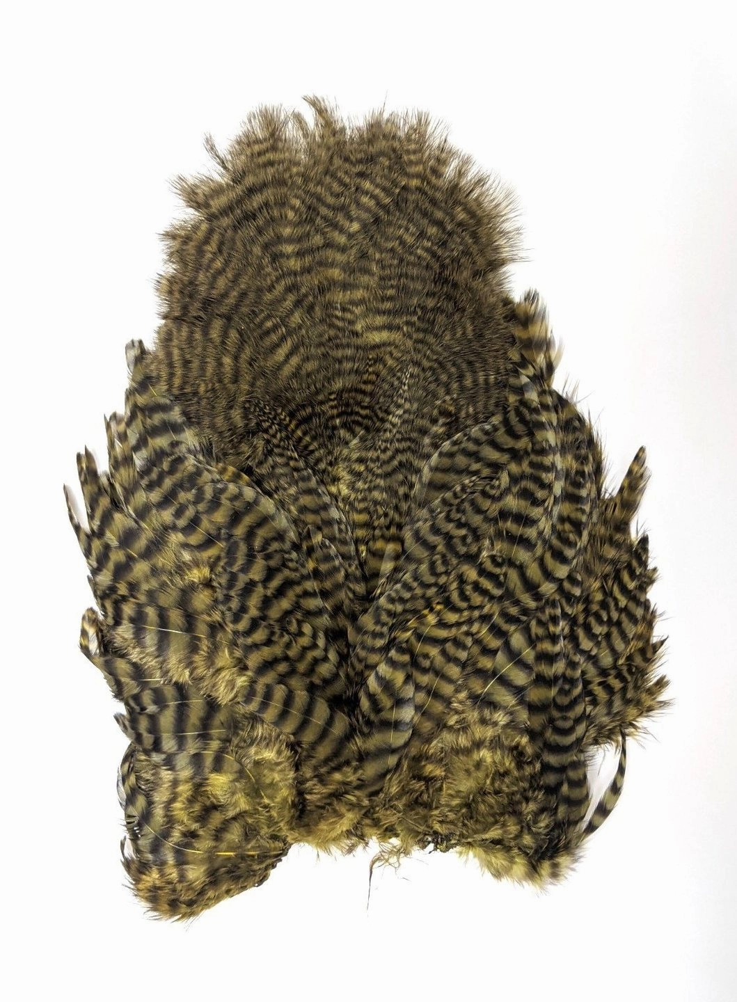 Whiting Rooster Soft Hackle with Chickabou
