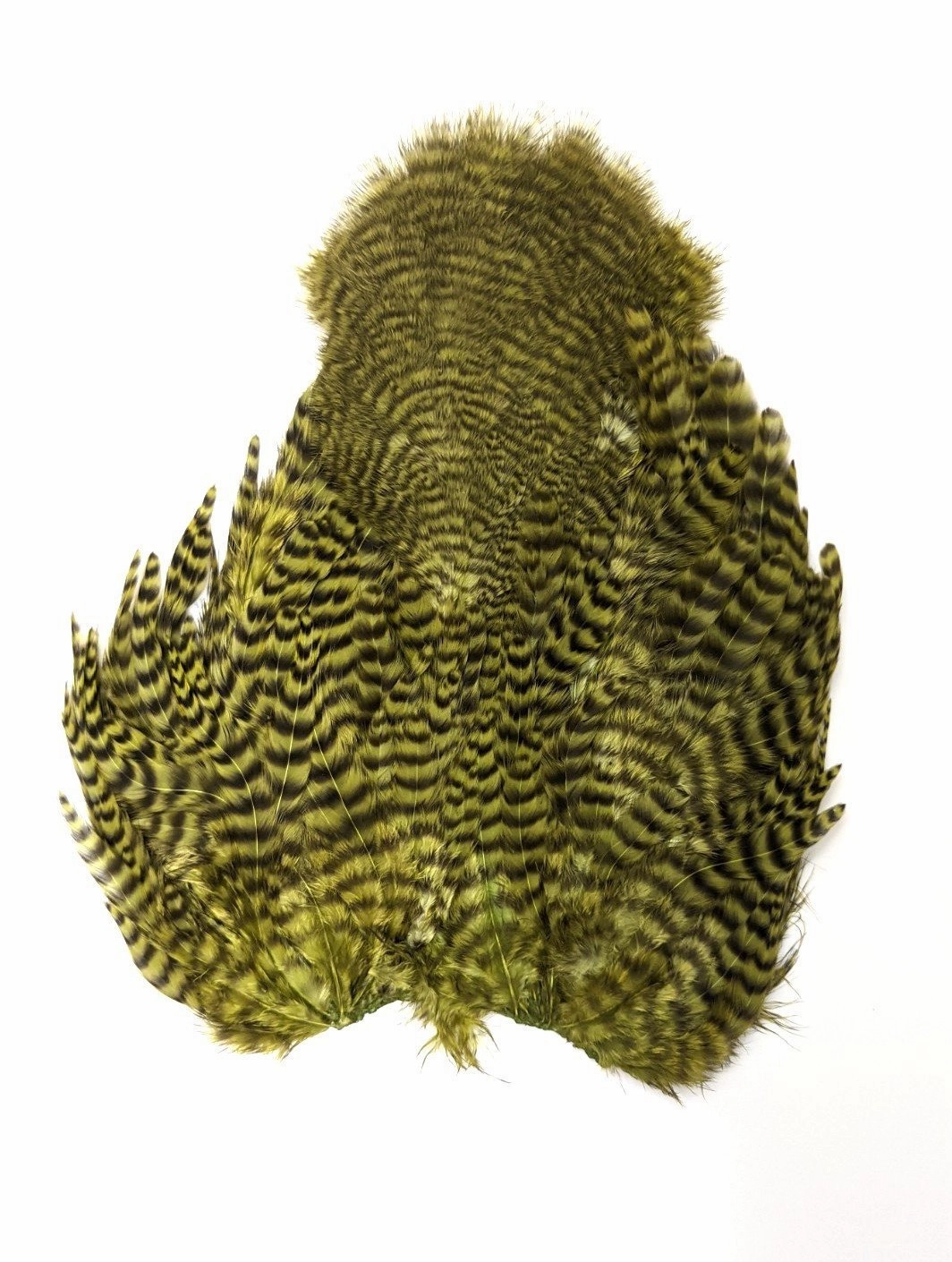 Whiting Rooster Soft Hackle with Chickabou