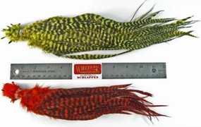 Whiting Schlappen Pack 10-14" Bundle