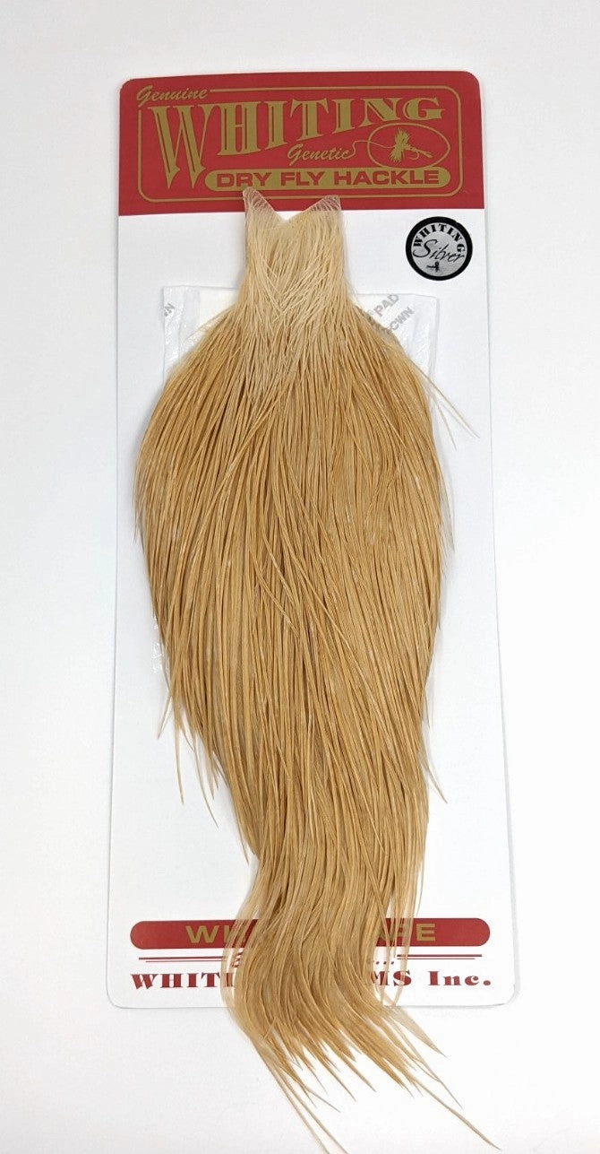 Whiting Silver Cape