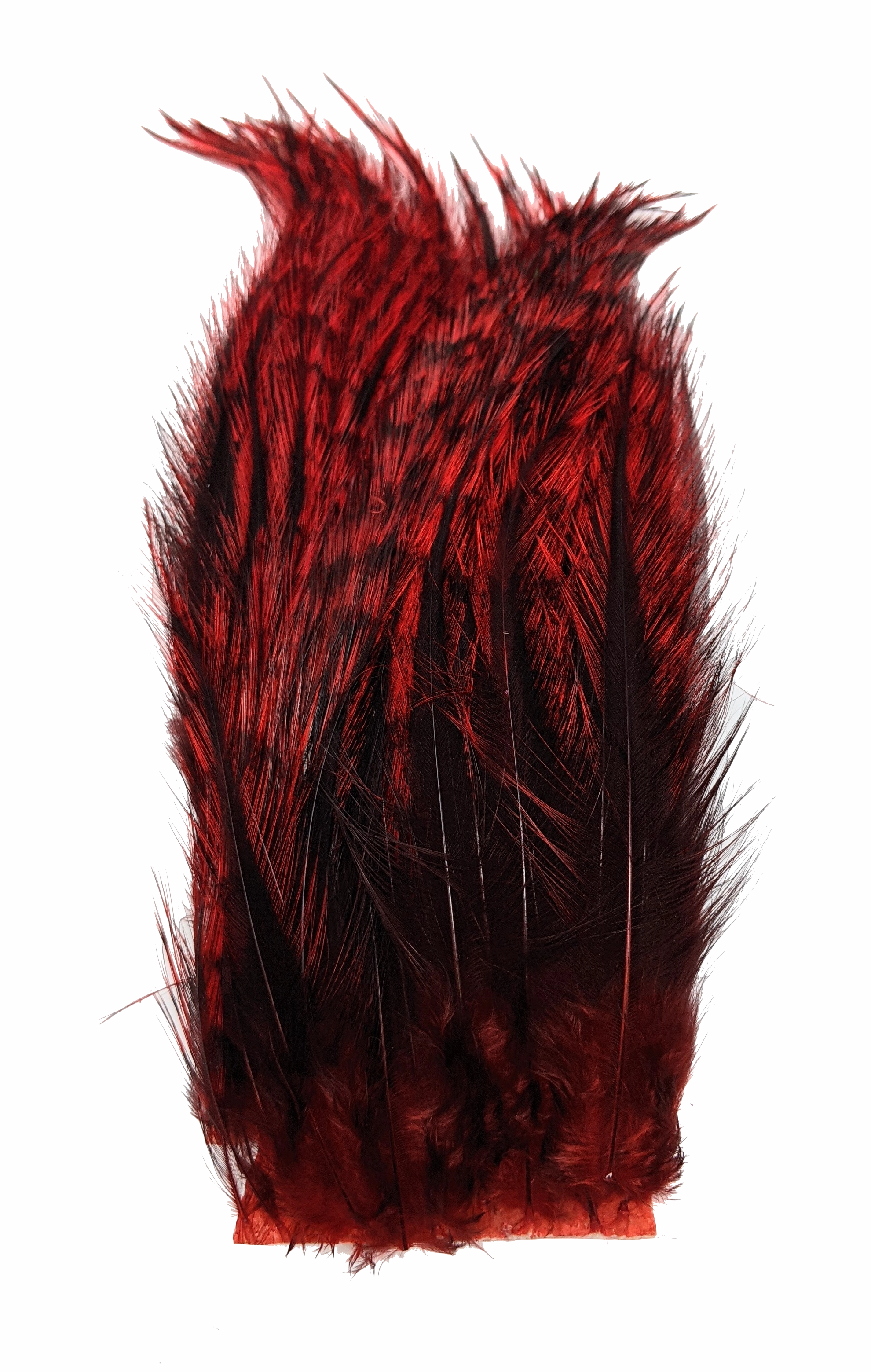 Whiting Tailing Pack Dyed Pardo