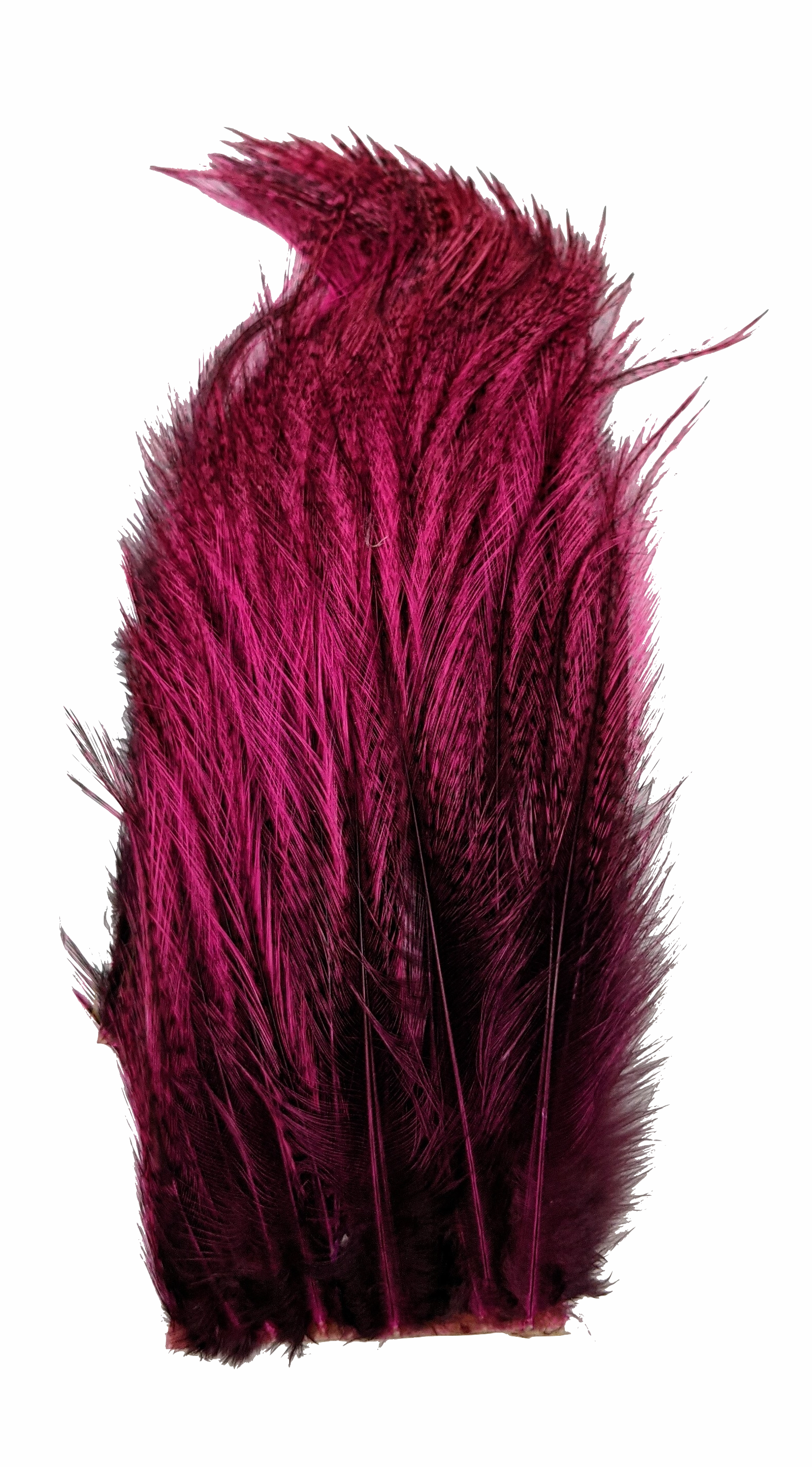 Whiting Tailing Pack Dyed Pardo