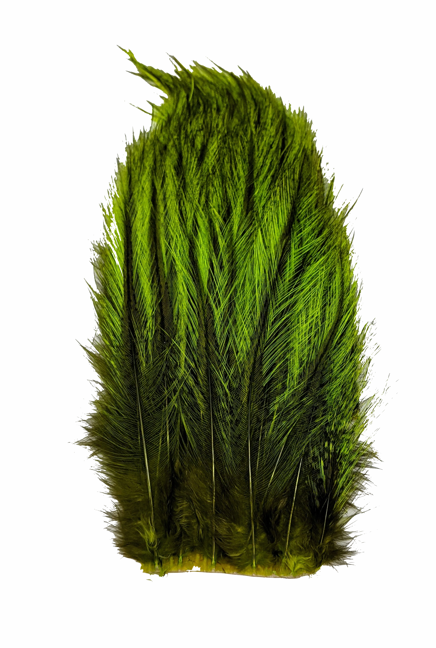 Whiting Tailing Pack Dyed Pardo