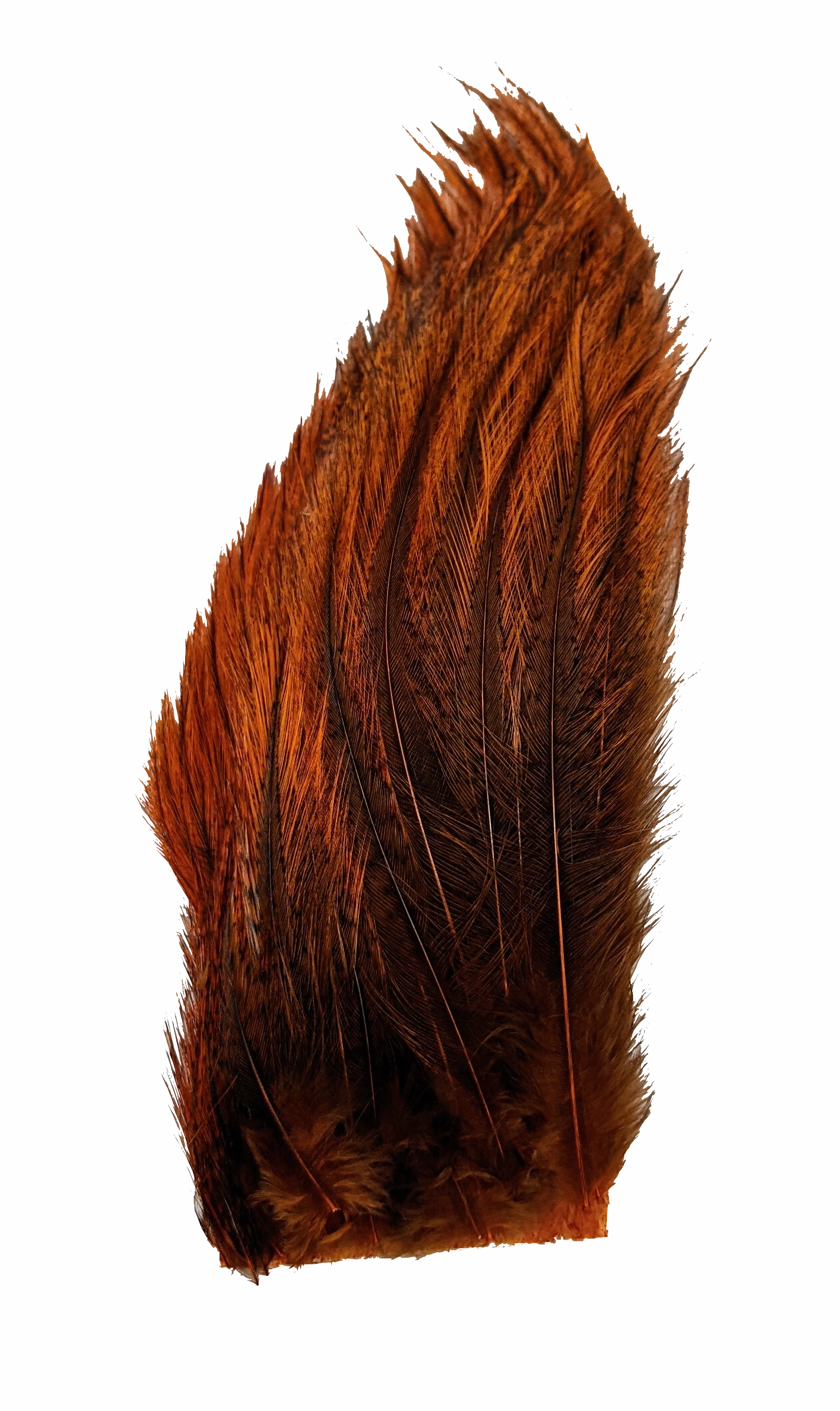 Whiting Tailing Pack Dyed Pardo
