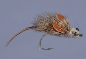Whitlock's MouseRat - Natural