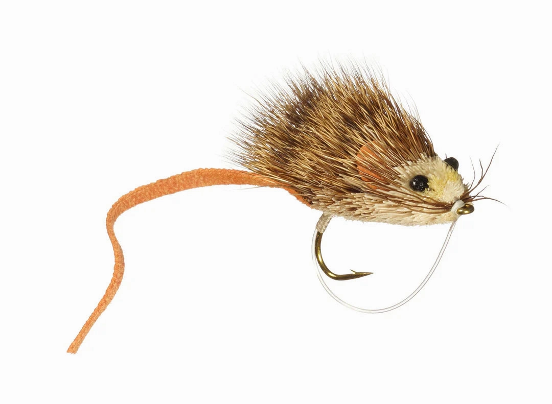 Whitlock's MouseRat - Natural