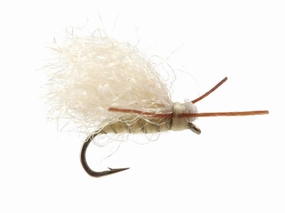 YFG Widowmaker Moth